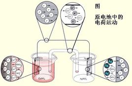 夜色下直播盒子APP廠家