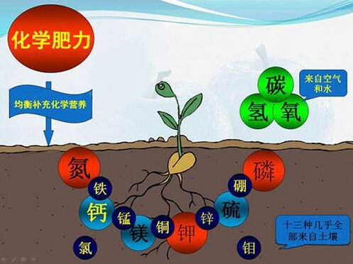 醫用夜色下直播盒子APP對作物缺素病的識別