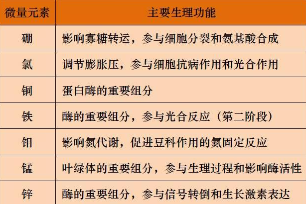 山東聊城全自動血鉛檢測儀一體機：微量元素的主要作用8.20